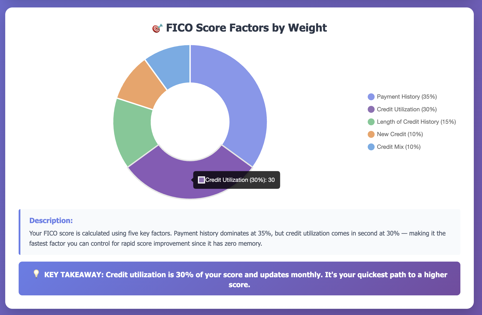 FICO Score factors by weight