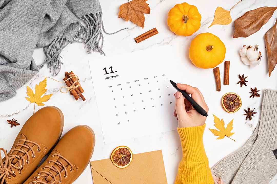 Guide to Improve Your Credit by Thanksgiving