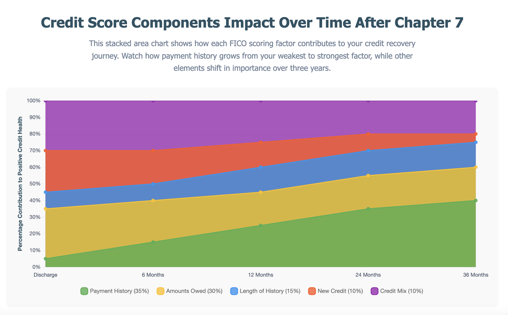 Credit Score Components Impact Over Time After Chapter 7