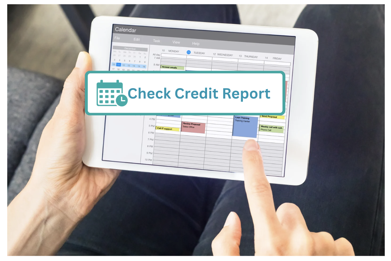 Credit Report Schedules