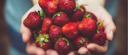 Strawberries