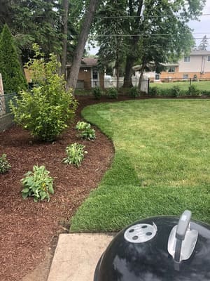Brick paving in Arlington Heights