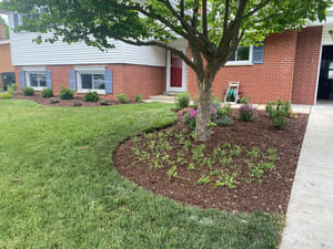 Brick repair in Arlington Heights