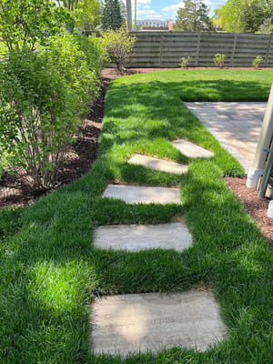 {{ custom_values.service_3 }} in {{custom_values.area_2})