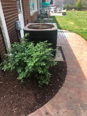 {{ custom_values.service_2 }} in {{custom_values.area_2})