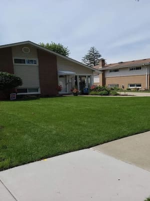 {{ custom_values.service_3 }} in {{custom_values.area_3})