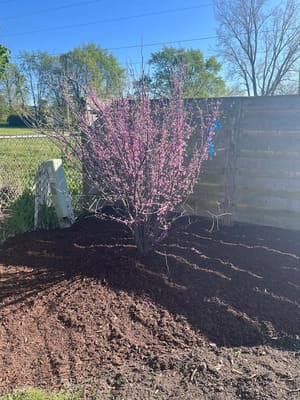 {{ custom_values.service_3 }} in {{custom_values.area_2})