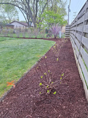 Brick repair in Mt.Prospect