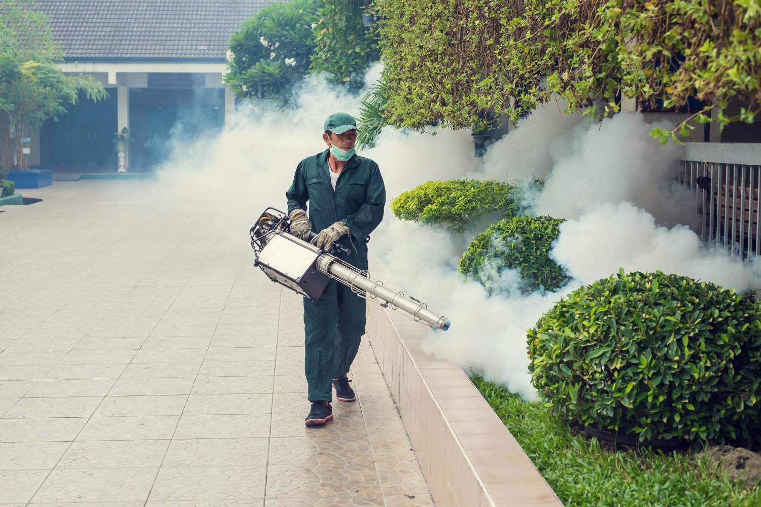 Mosquito Control - Halo Pest Solutions