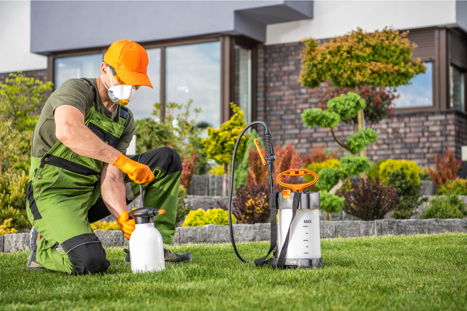 Lawn and ornamental pest control - Halo Pest Solutions