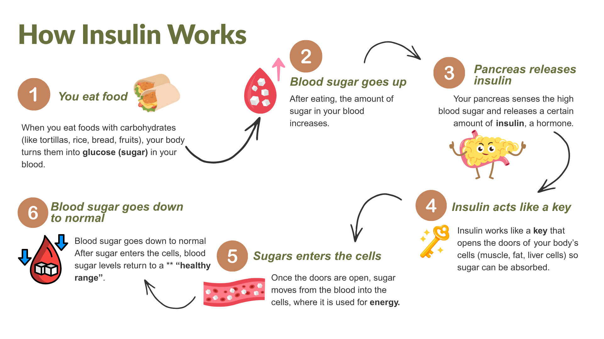 How Insulin Works - Desert Senita