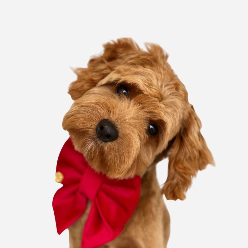 The Red