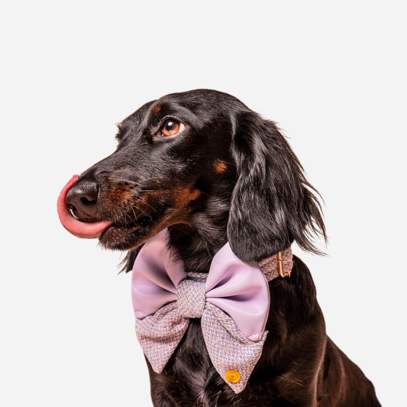 Sailor-Style Bow Collars