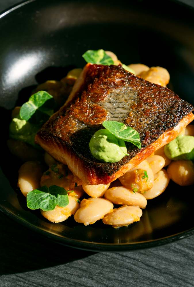 Seared salmon over butter beans