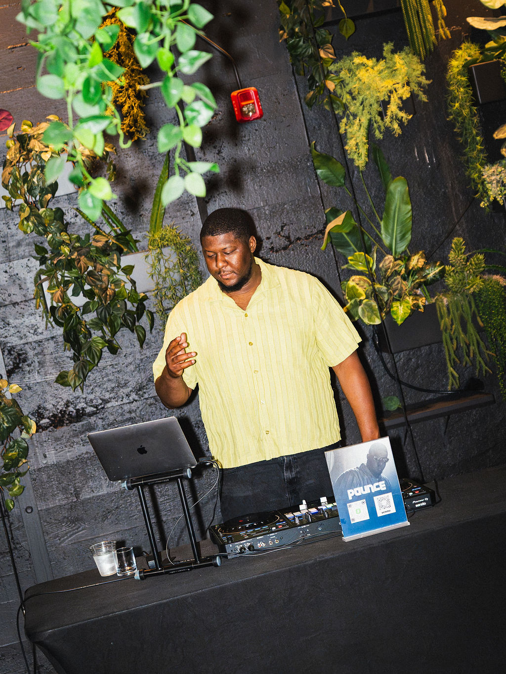 The DJ under Kaya's plant wall
