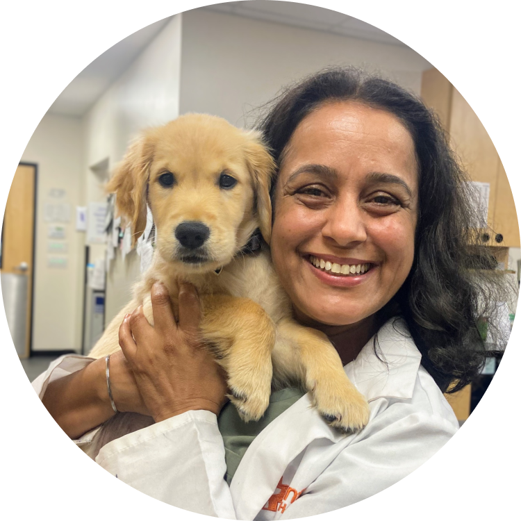 Dr. Ritu Grover