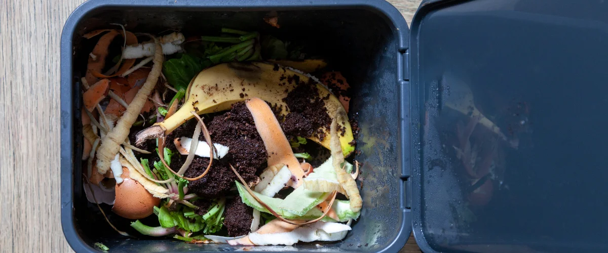 A compost bin full of fruit and vegetable scraps, including banana peel, coffee grounds, eggshells, and carrot peels.