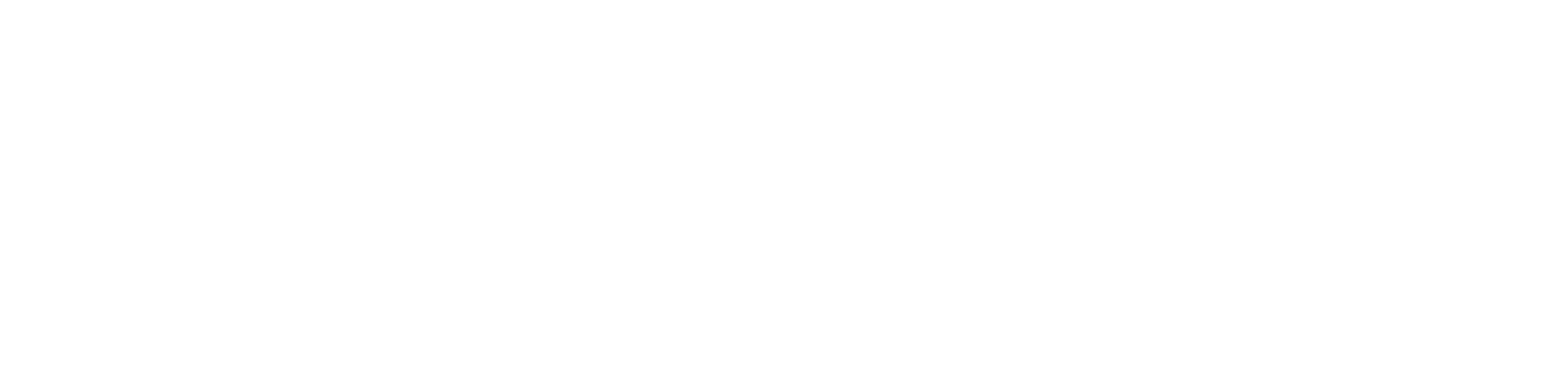 Scanfit logo