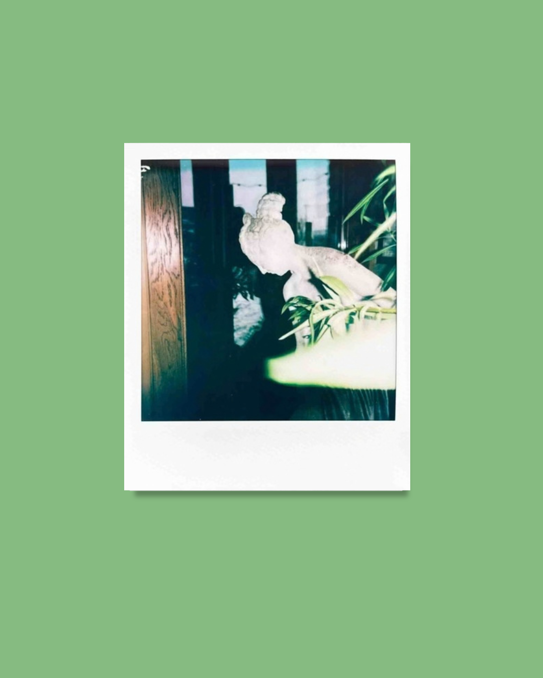 sculpture polaroid taken by meghan banting for instant film project