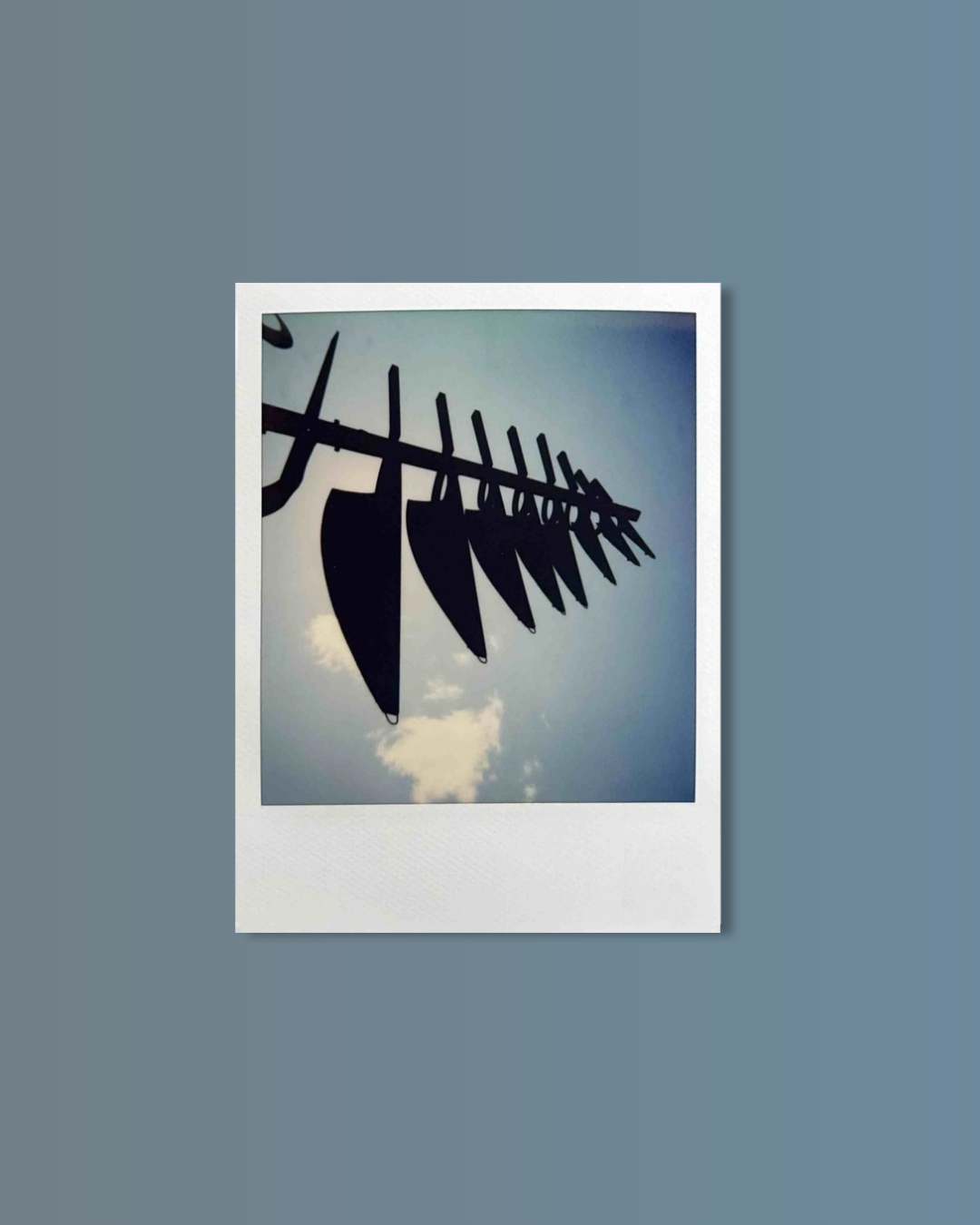 meghan banting art polaroid taken for instant film project