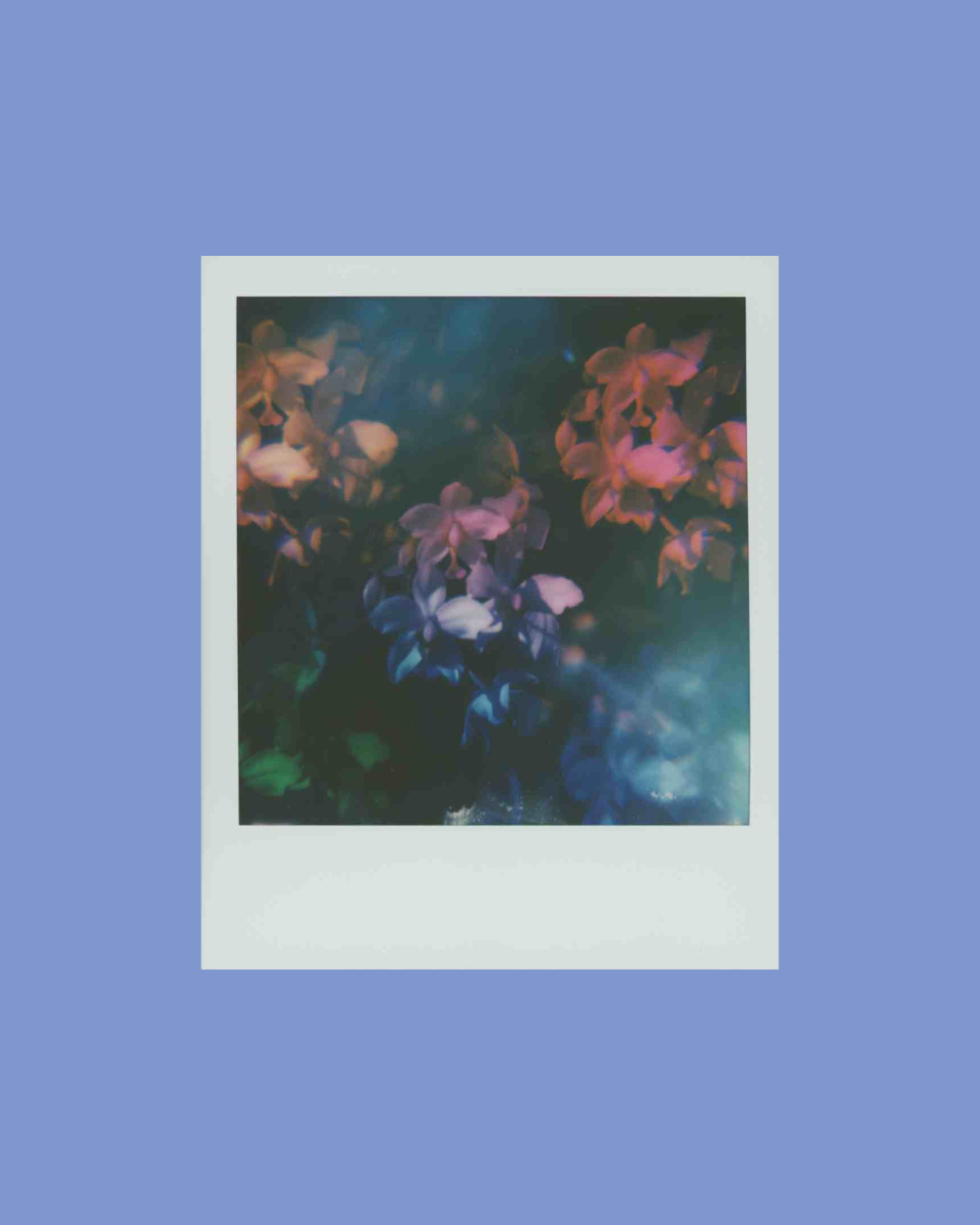 Aura polaroid by amber lauder for instant film project