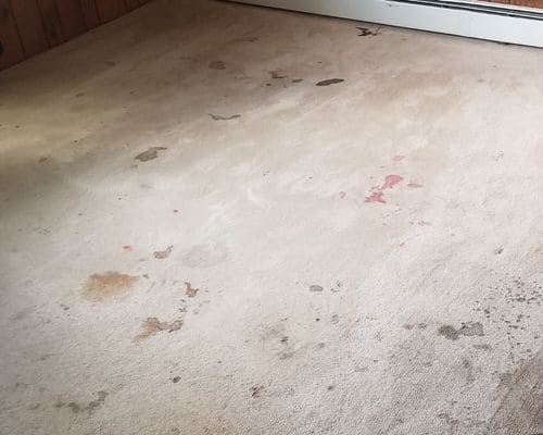 St. Petersburg Floor Cleaning