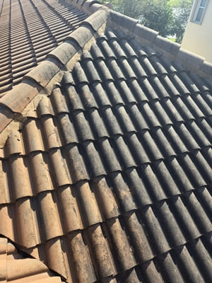 {{ custom_values.service_1 }} in {{custom_values.area_7})