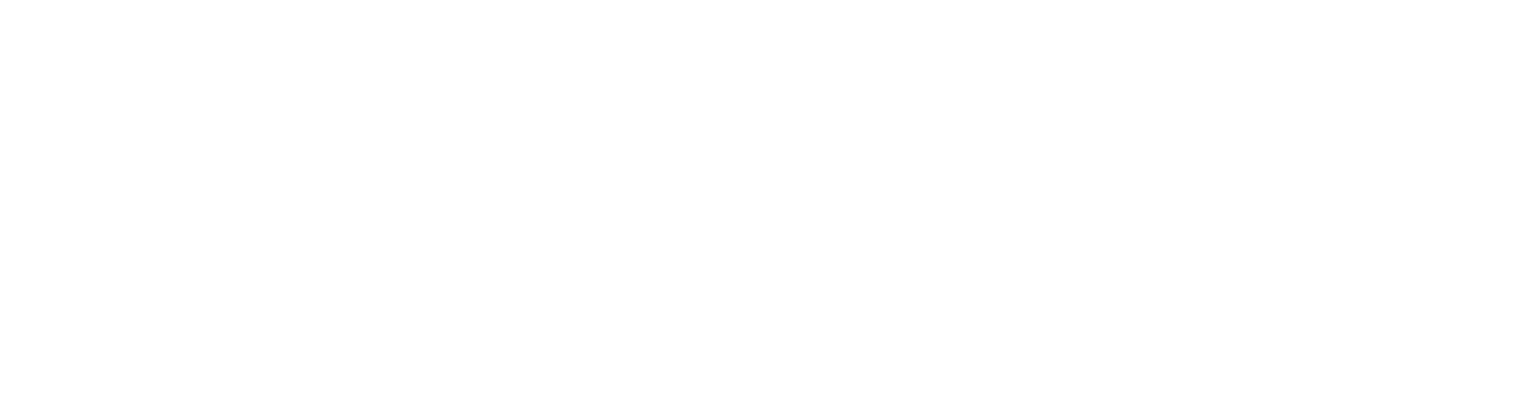 Polaris Logo