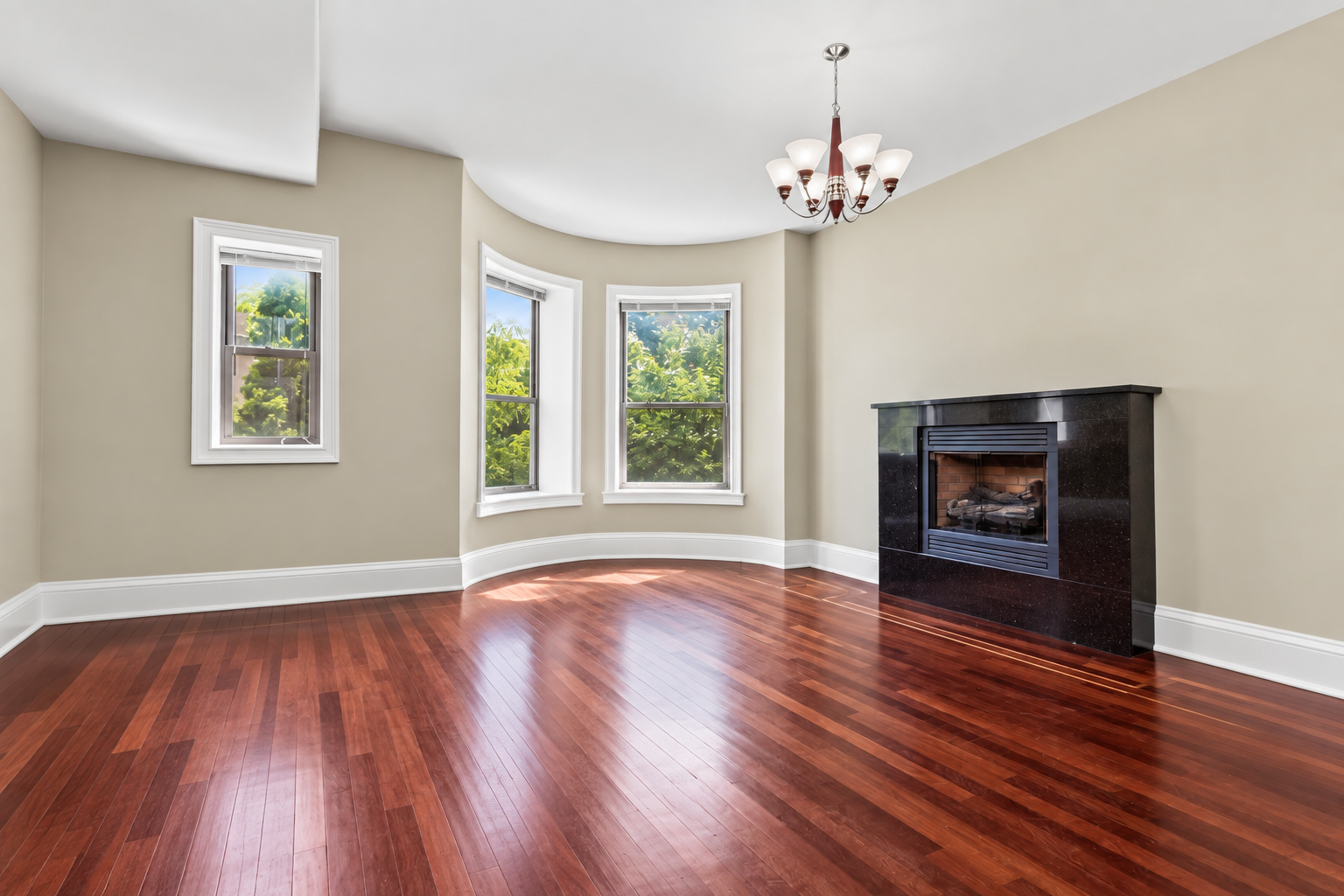 4548 S Indiana Ave #1S thumbnail 4