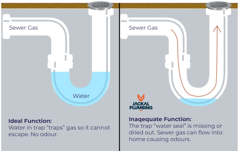 Diagram of P trap under floor Diagram of P trap under floor