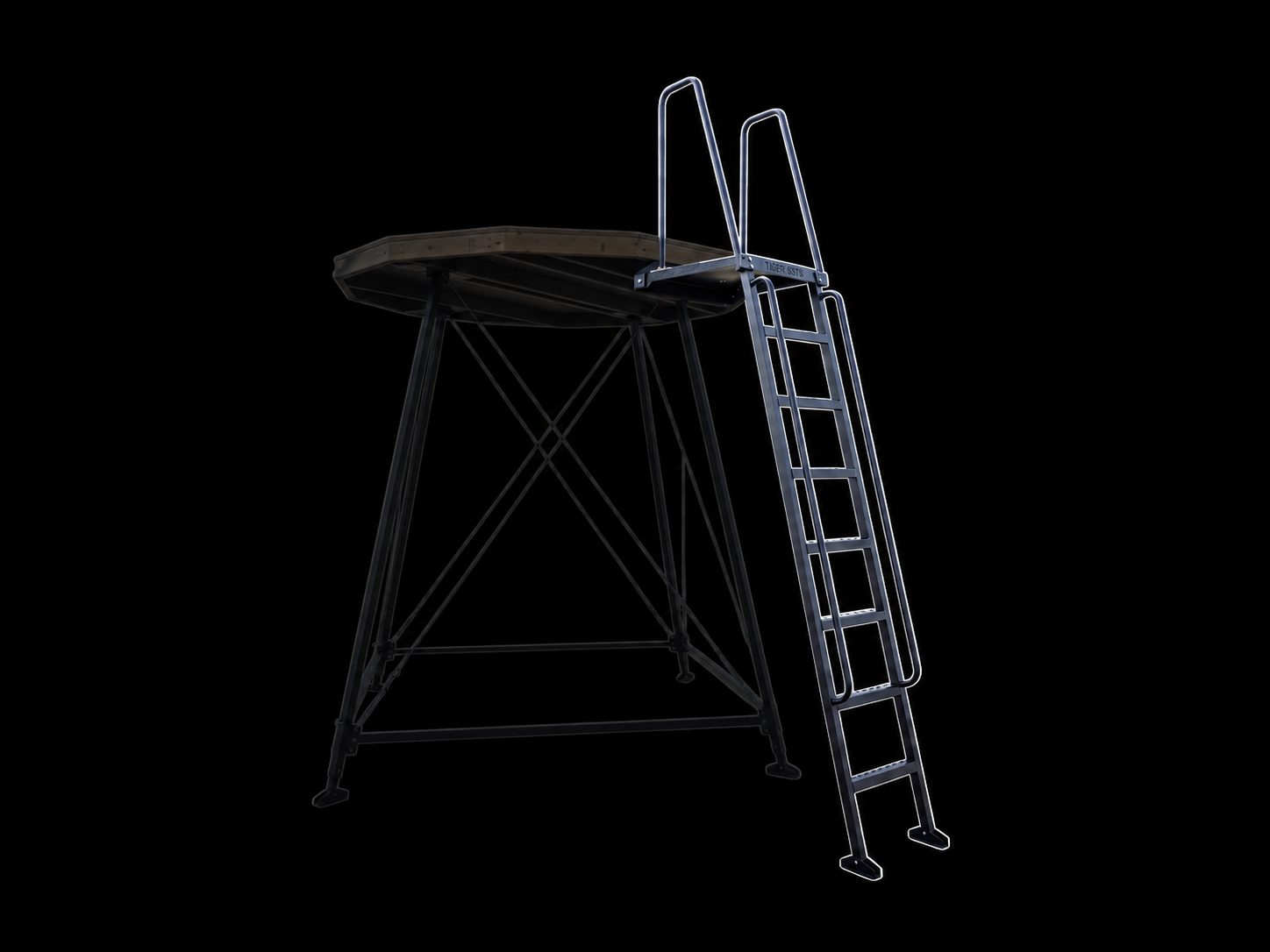 Aluminum Ladder
