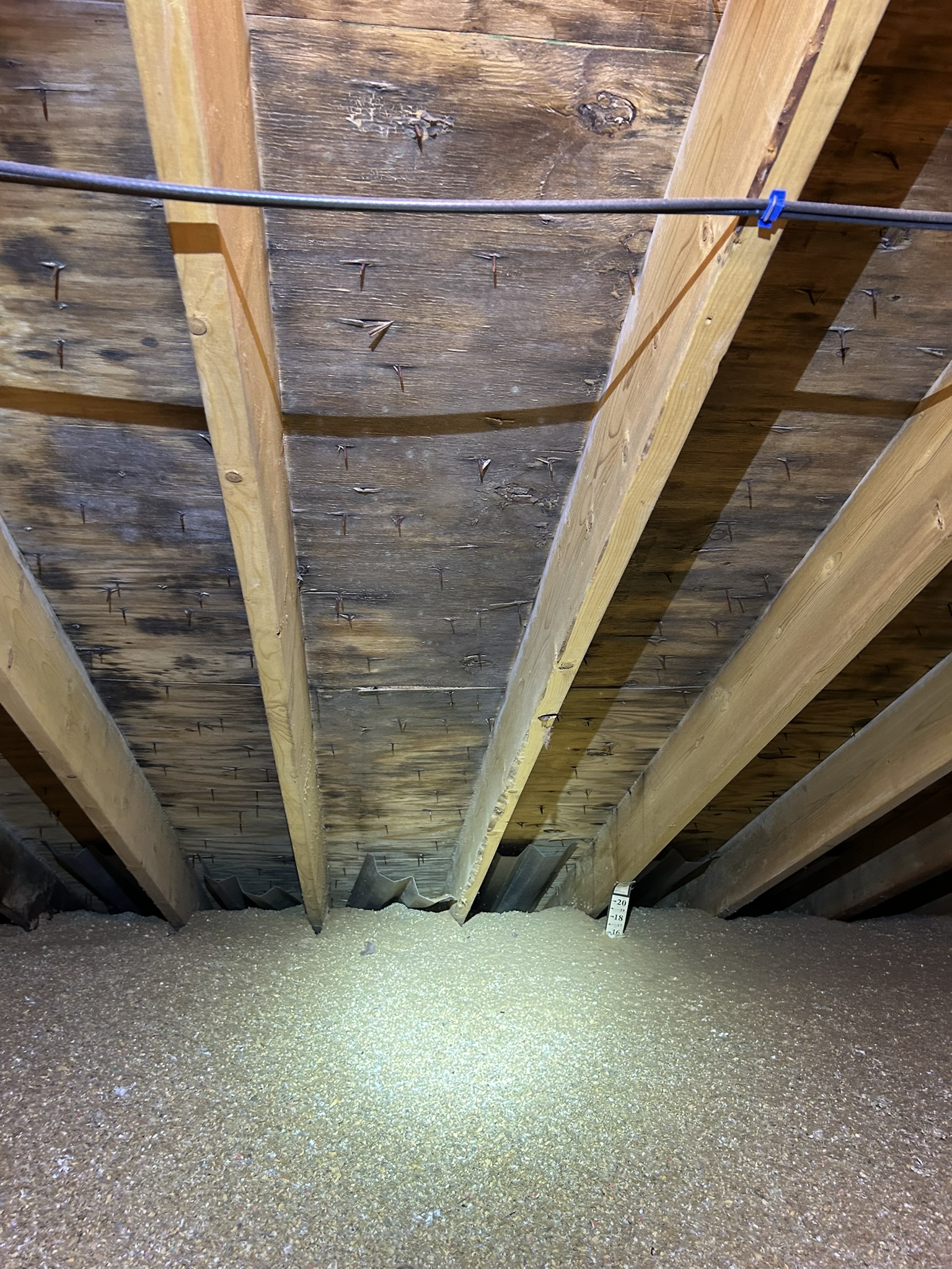 Manchester attic before: mold on roof sheathing
