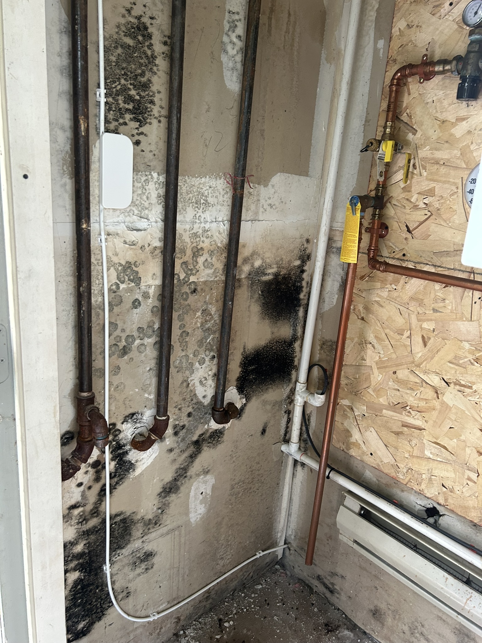 Nashua utility room before: wall behind piping