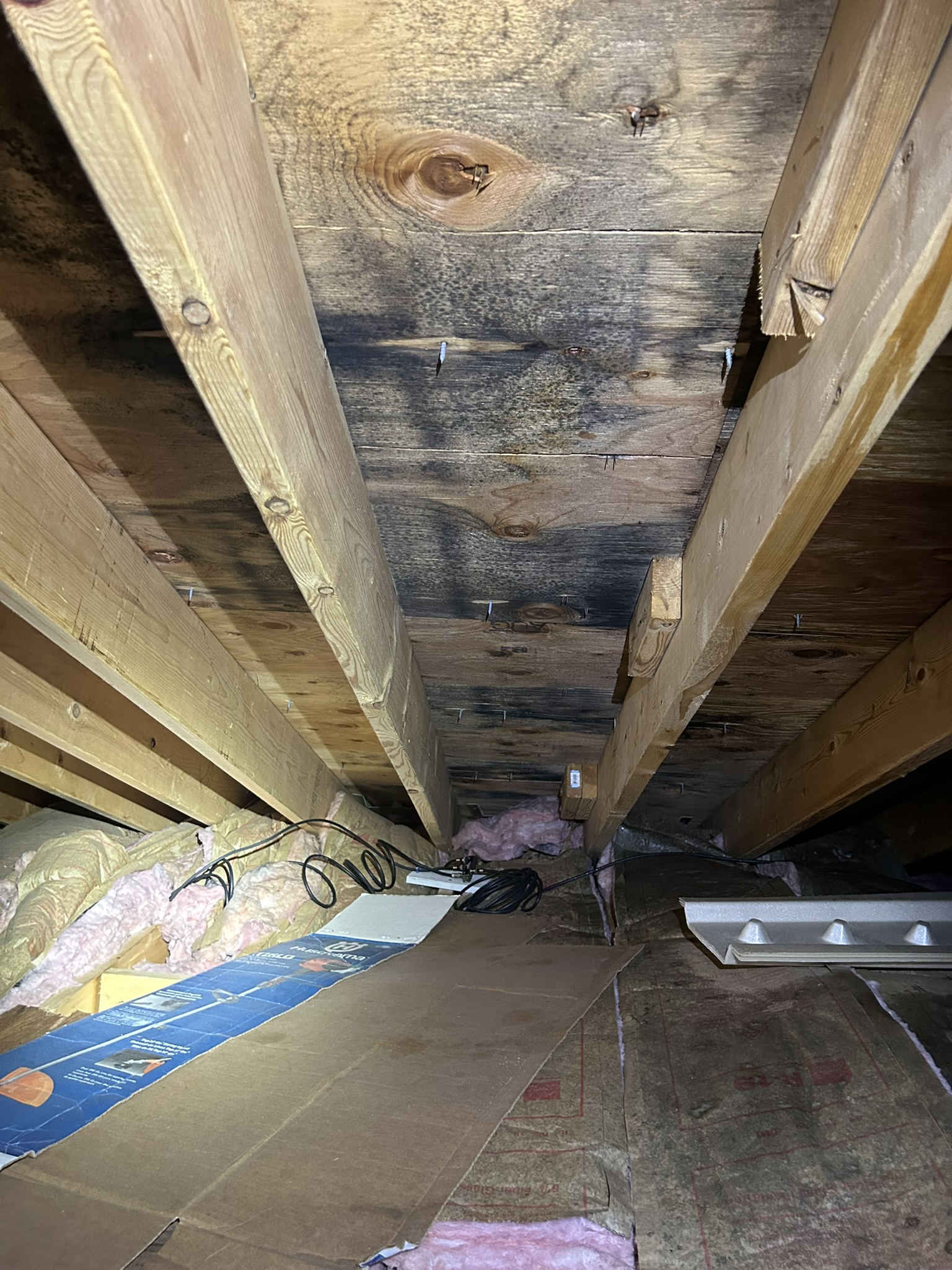 Chester attic mold before remediation