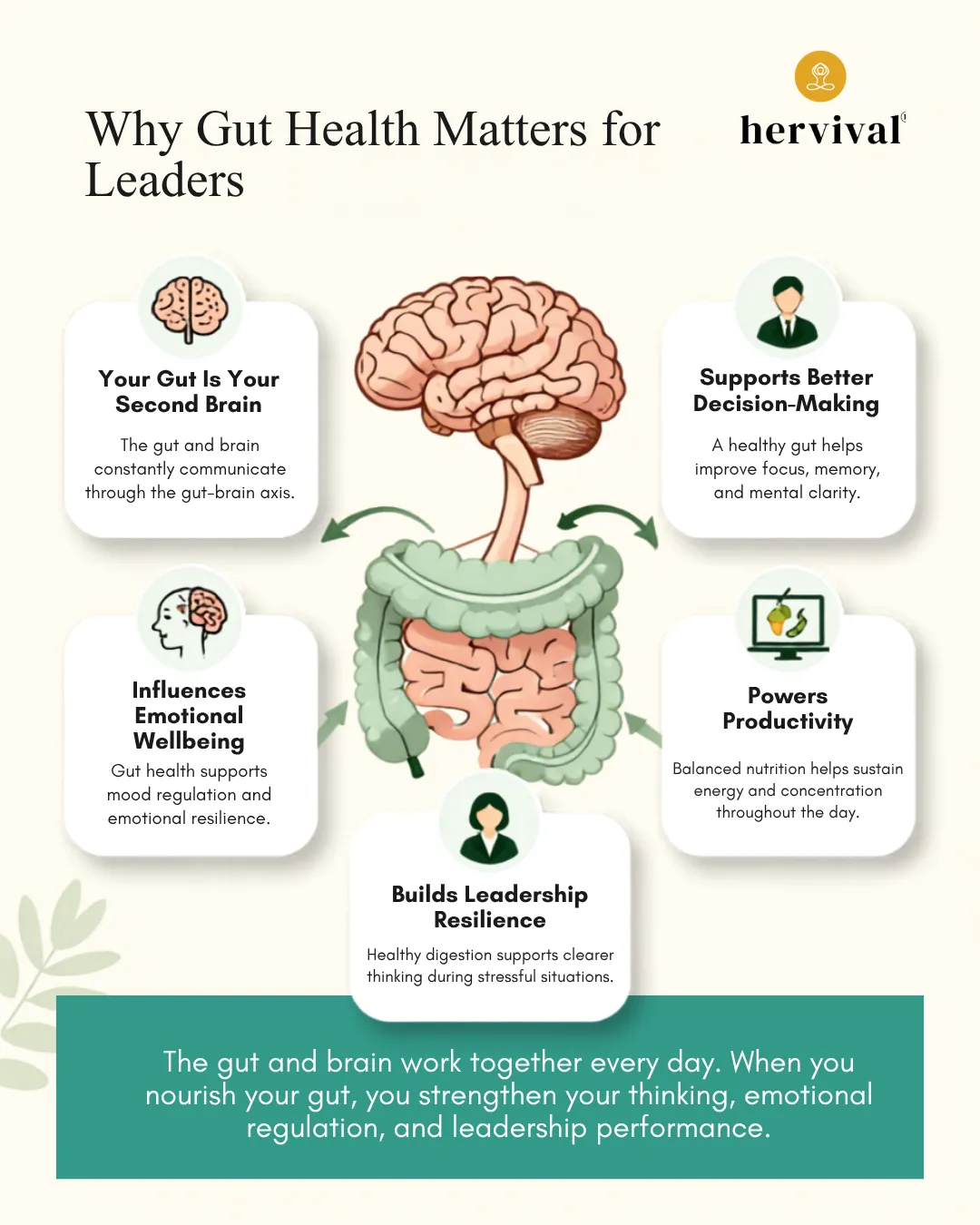 Alt text: Infographic for Gut Health for Leaders: Why Your Brain Depends on Your Gut explaining how the gut-brain connection supports better decision-making, emotional wellbeing, productivity, resilience, and mental clarity through a healthy digestive system.