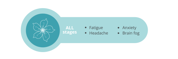 Diagram showing menopause symptoms reported across all stages including fatigue, brain fog, anxiety and headache.