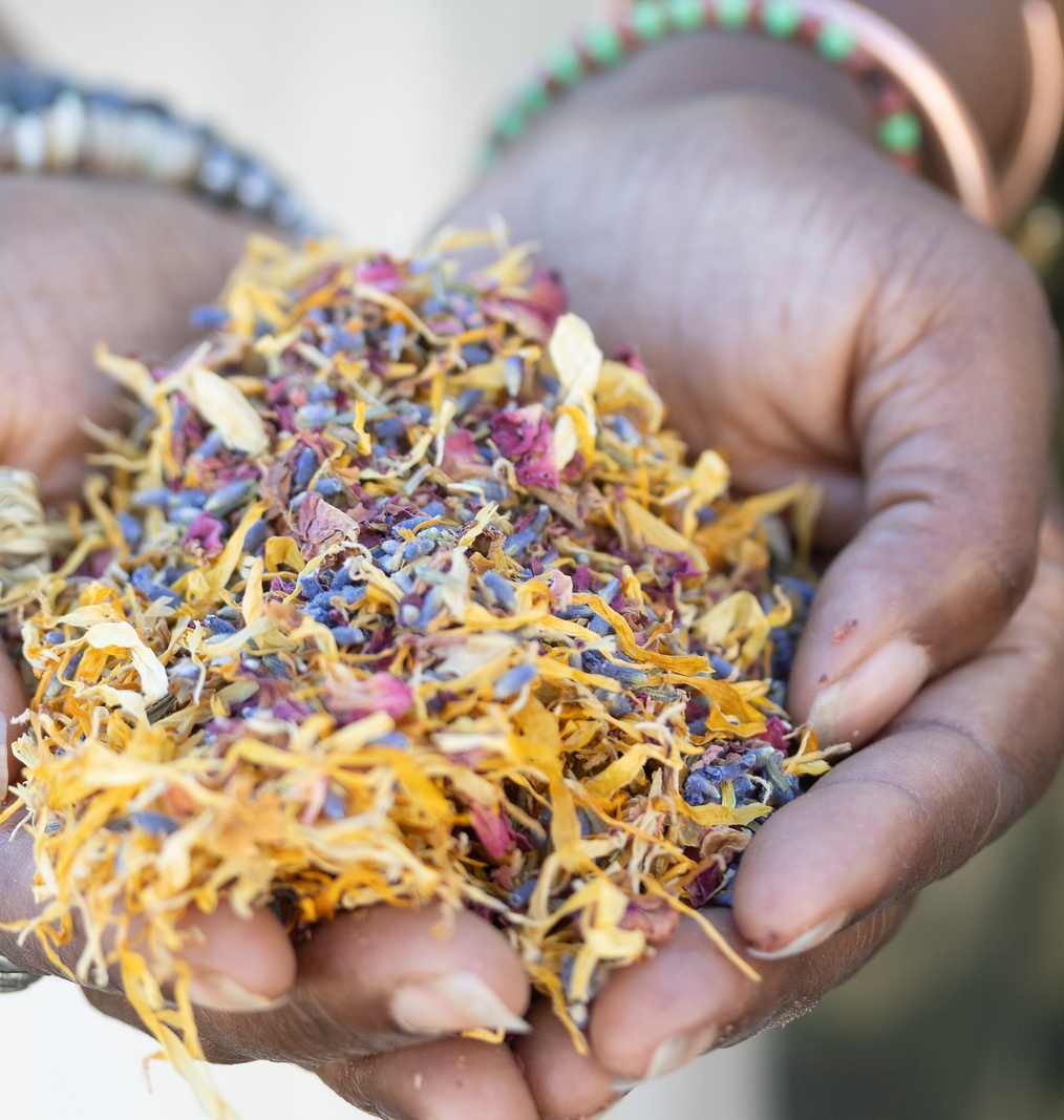 Hands holding colorful dried herbal flowers