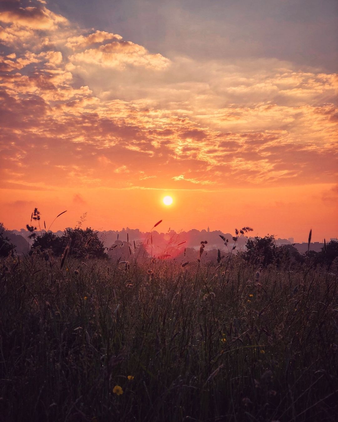 Listening to Your Inner Signals: How the Body Guides Healing and Awareness