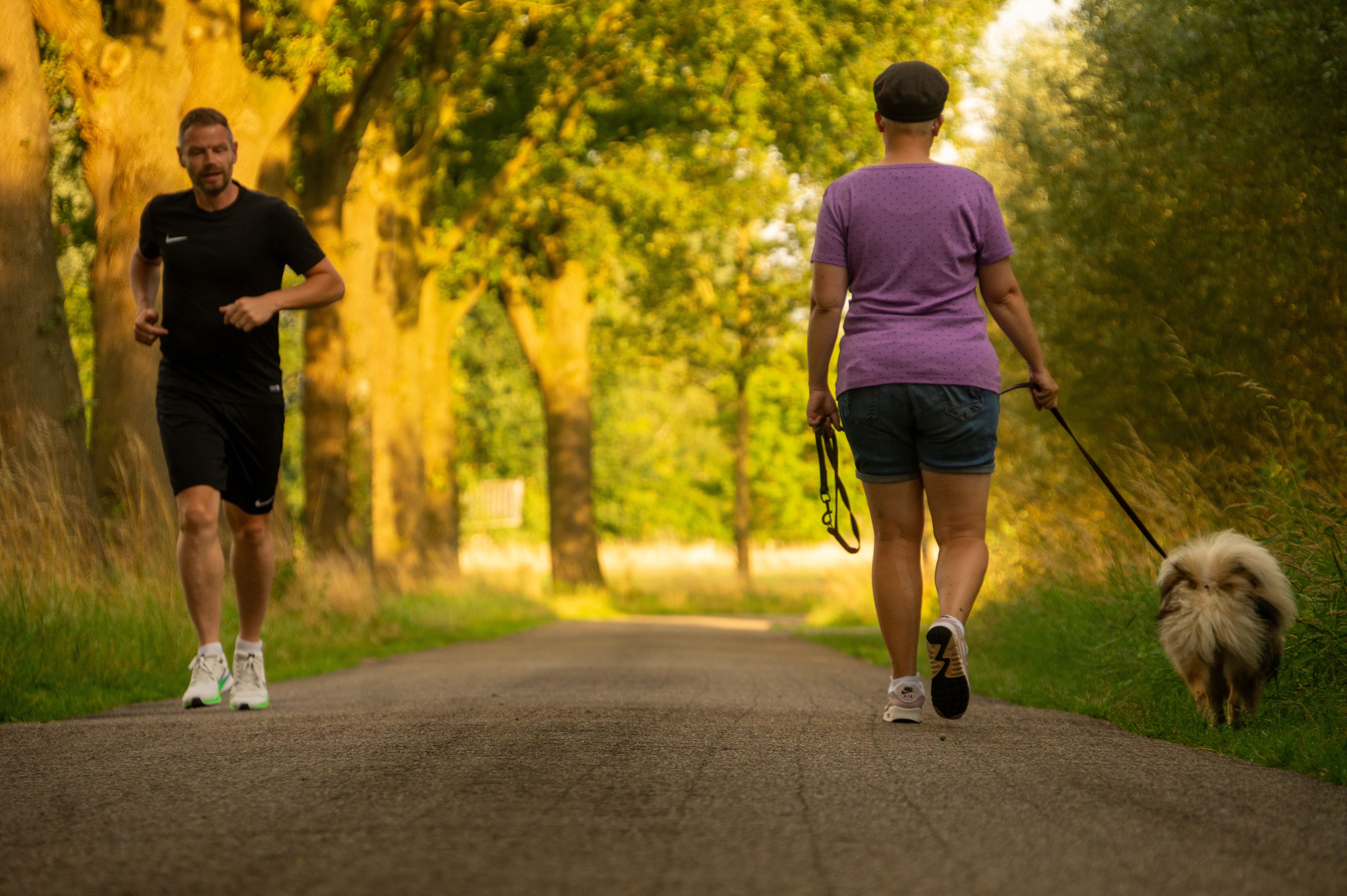 Common Wellness Myths That May Be Holding You Back