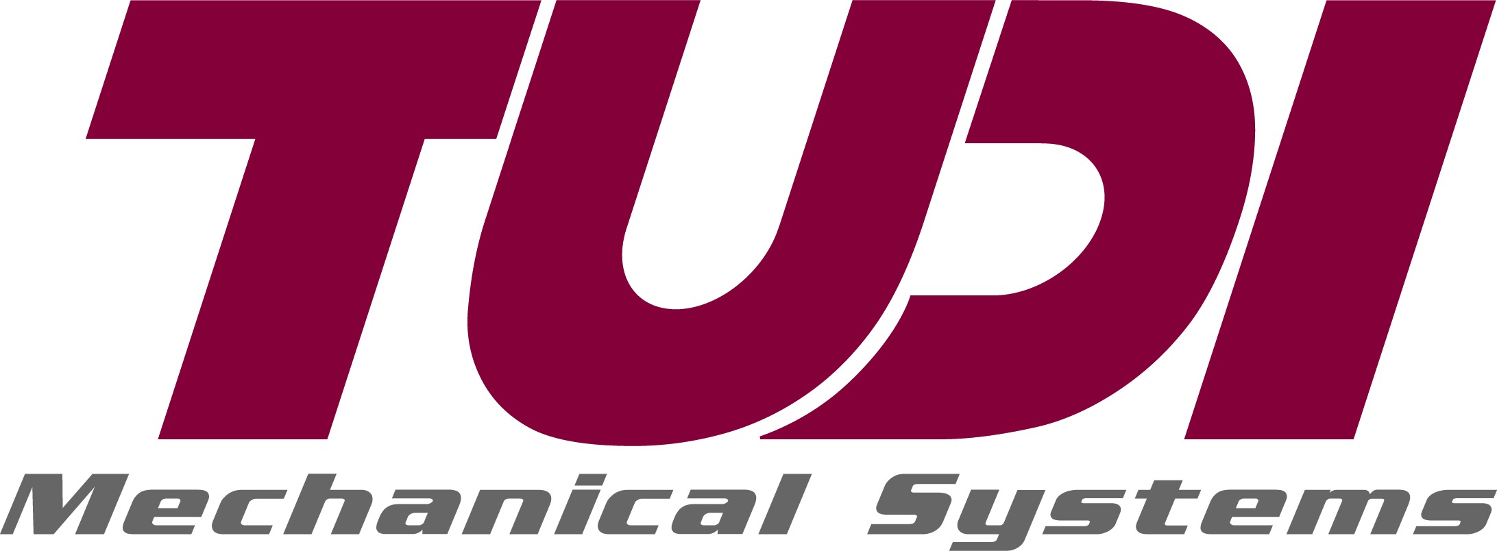 TUDI Mechanical Systems, Burgh's Best sponsor