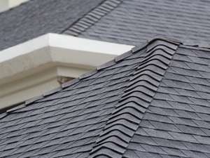 {{ custom_values.service_4 }} in {{custom_values.area_1})