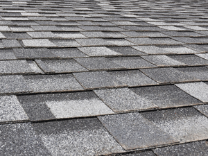 {{ custom_values.service_4 }} in {{custom_values.area_2})