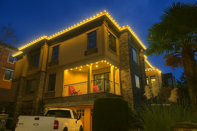 {{ custom_values.service_3 }} in {{custom_values.area_7})