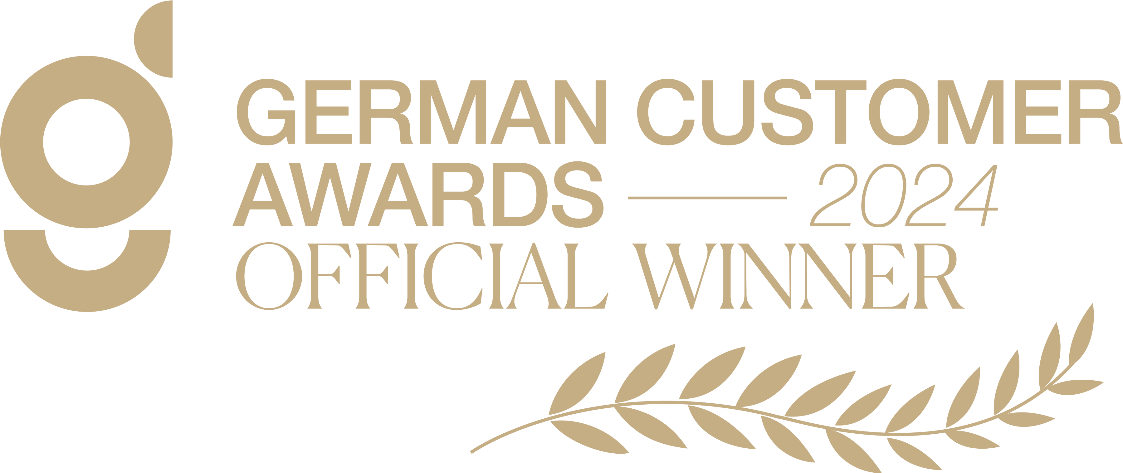 German Customer Award 2024