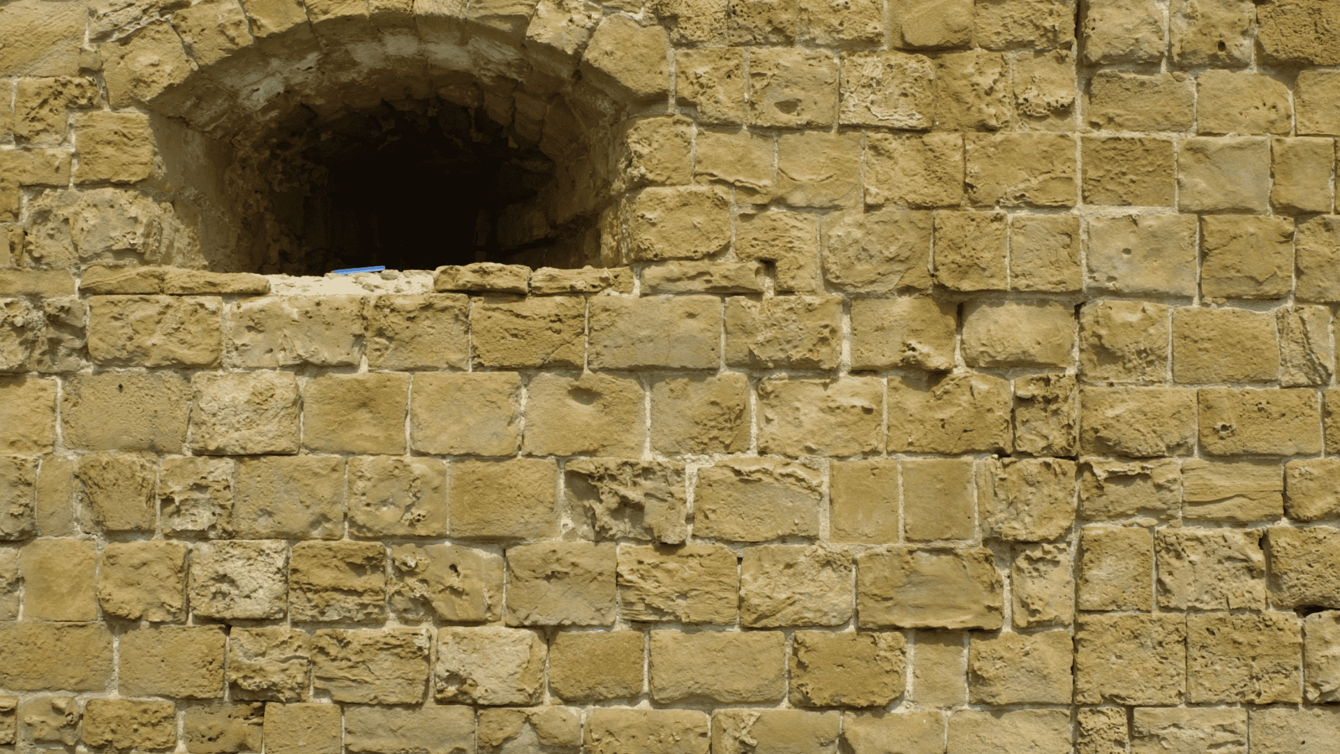 Wylie Fence & Deck Staining