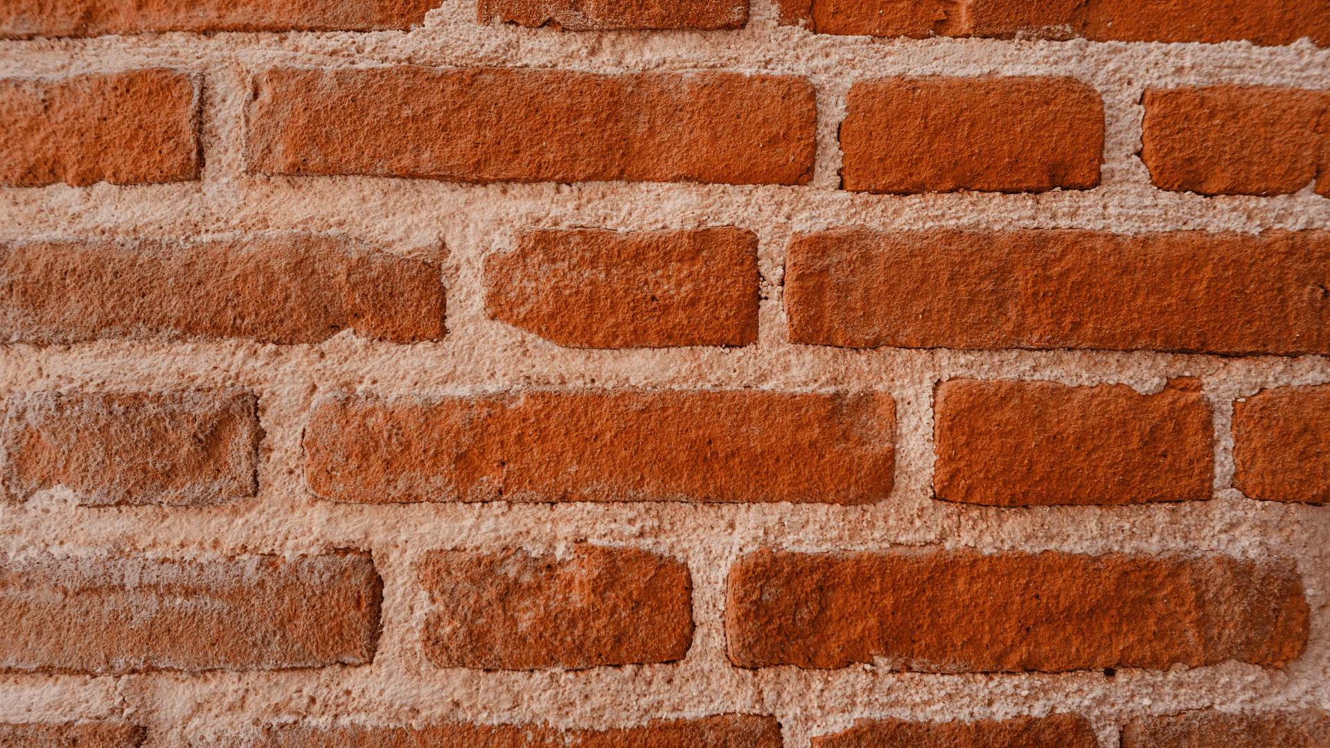 Plano Fence & Deck Staining