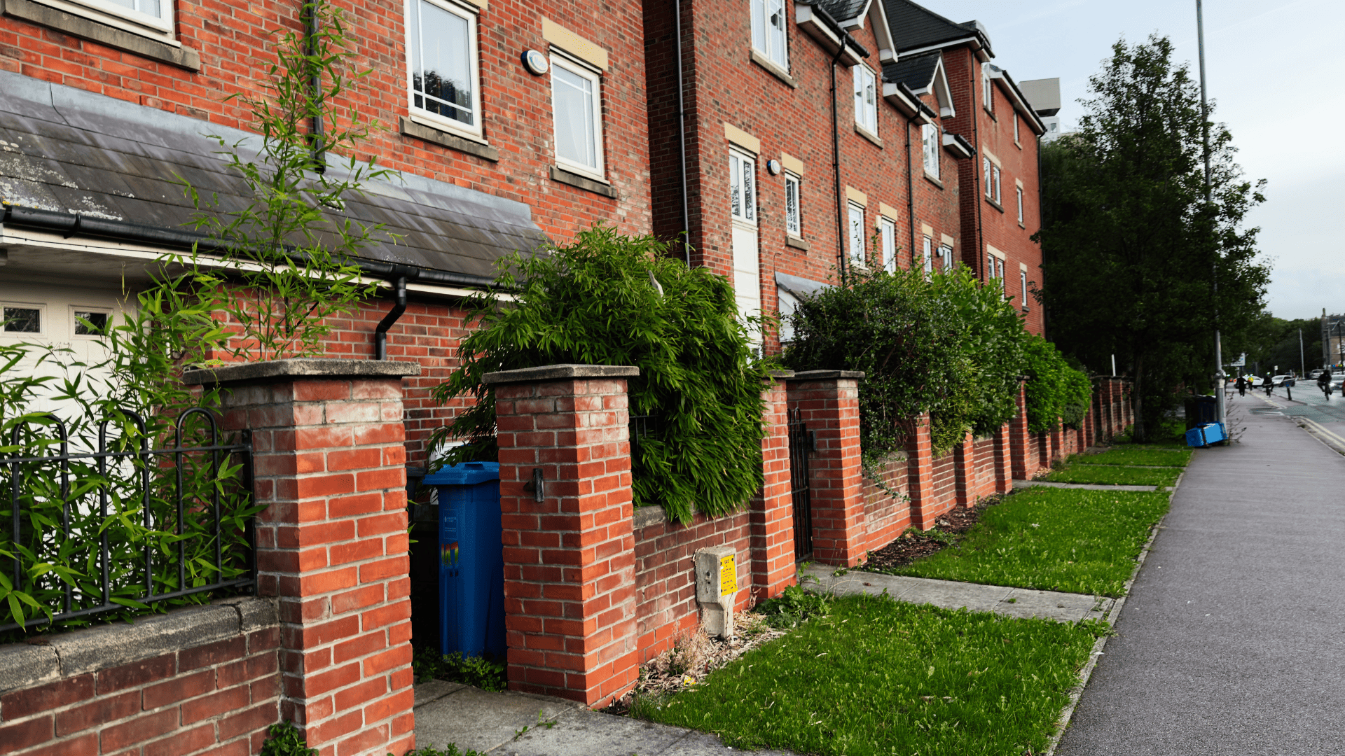 Professional Painting Plano