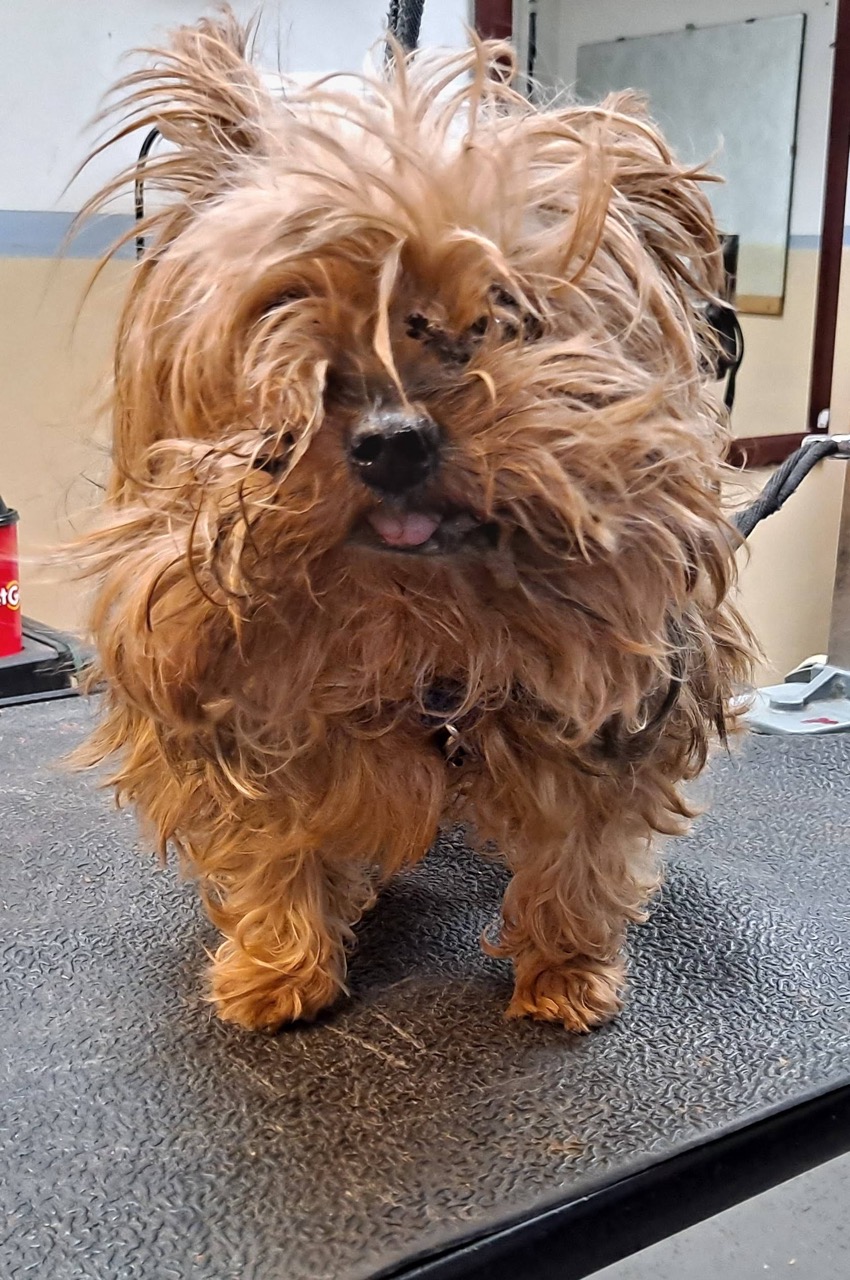 Medicated Baths & Skin Relief Verona