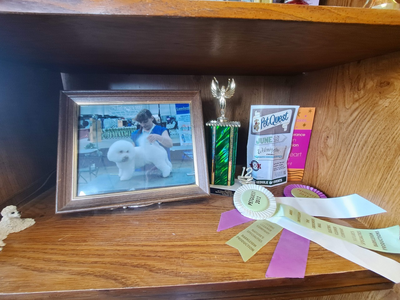 Flea Treatment Verona
