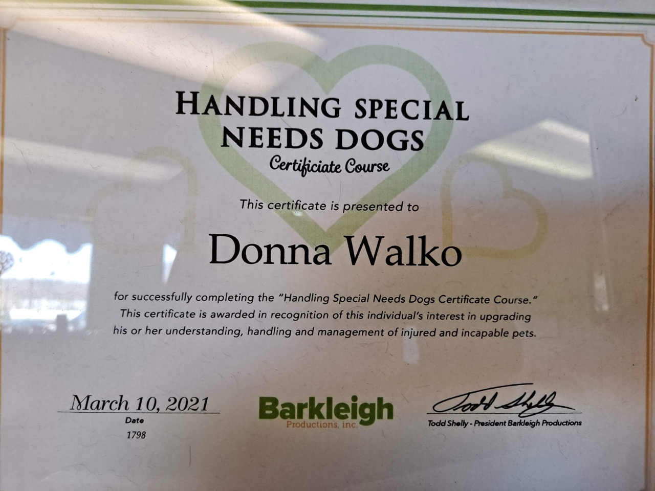  Full Service Grooming